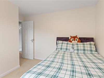 Picture 24